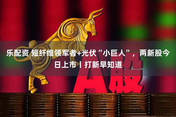 乐配资 短纤维领军者+光伏“小巨人”，两新股今日上市丨打新早知道