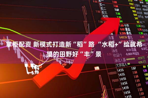 掌柜配资 新模式打造新“稻”路 “水稻+”绘就希望的田野好“丰”景