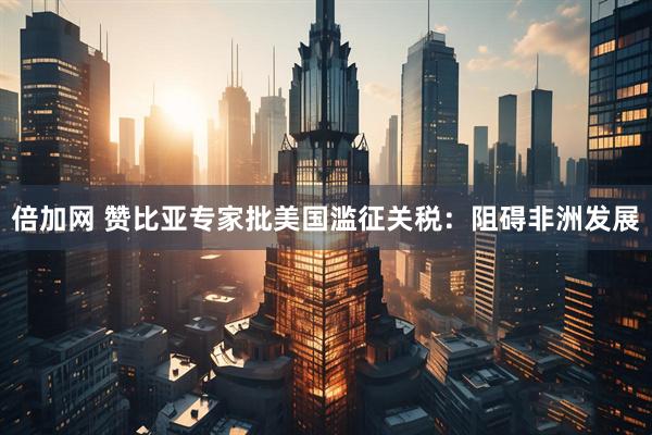 倍加网 赞比亚专家批美国滥征关税：阻碍非洲发展