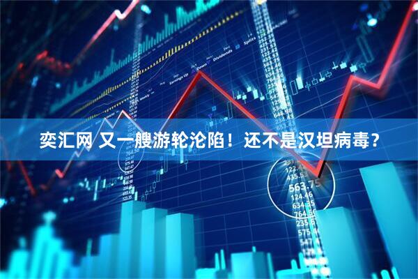 奕汇网 又一艘游轮沦陷！还不是汉坦病毒？